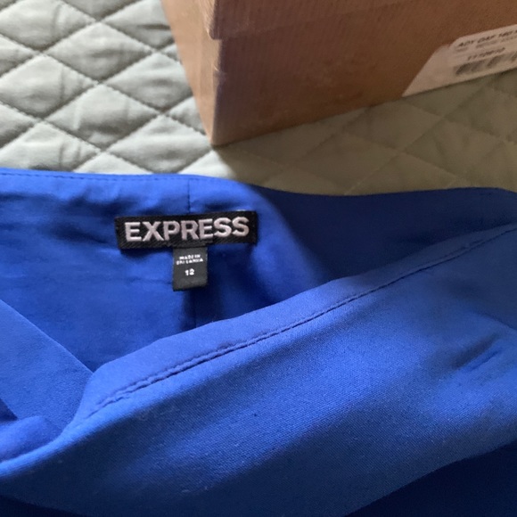 Blue Express Skirt - Picture 4 of 4
